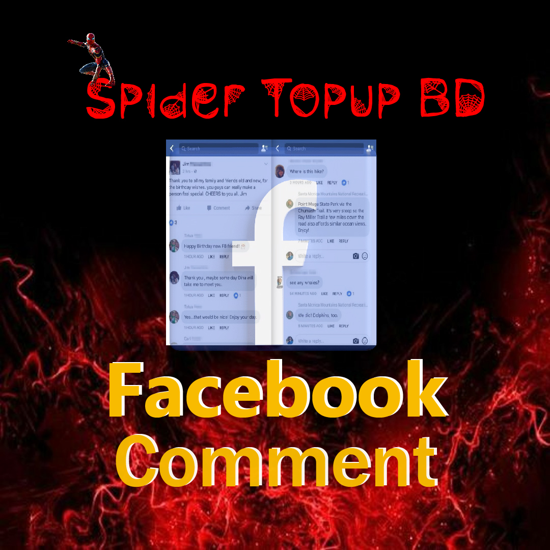 Facebook Comment